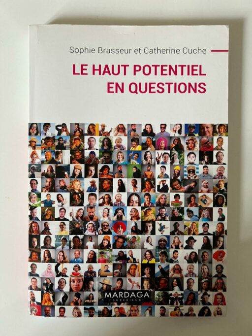 Le Haut Potentiel en questions